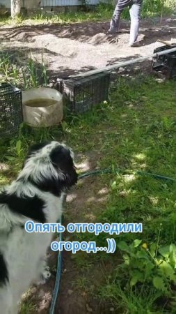 Исподтишка...)))