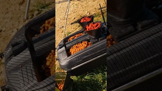 ПРАВИЛЬНЫЙ "КОРМ" ДЛЯ ... РЫБАКА
