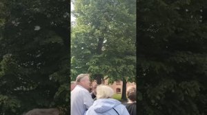 Петропавловская крепость