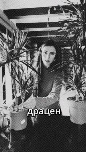 #комнатныерастения #фитодизайн #озеленение