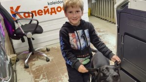 Калейдоскоп  @ Футболки @ Для @ Castle Rock @ Моя Жизнь Кино 🐕 Музей Псов
