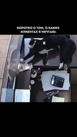 ⚠️ ИИ уже заменяет людей.