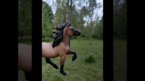 Фотографии лошадей шляйх 🐎