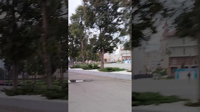 Парк в Сочи