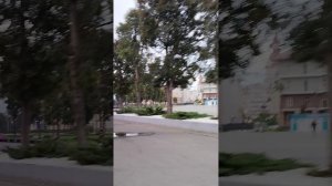 Парк в Сочи