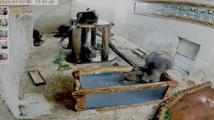 Медвежонок еще долго  возле ванны крутился