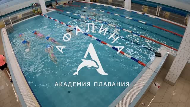 Академия плавания Афалина осень 2024