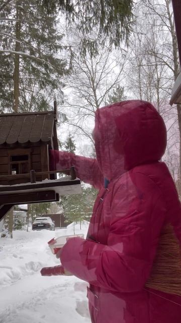 25 января 2024 г. смотреть онлайн