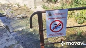 Дачный сезон