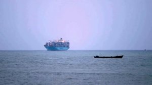 партия Маска может ослабить республиканцев