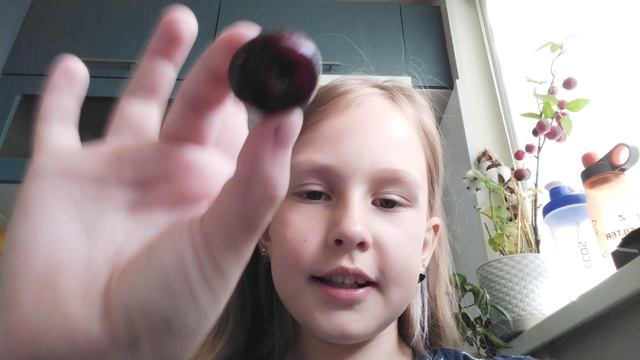 что не ждали ?