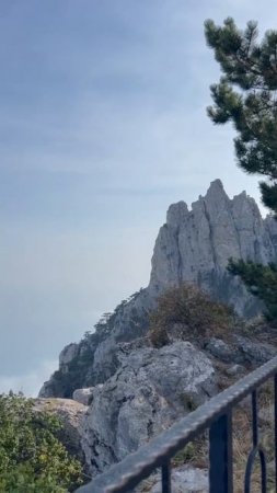 Лето может стать переломной точкой — если провести его не как всегда.