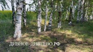 Поездка на источник Константина и Елены близ Хрипуново, июль 2025