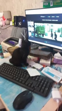VID-20250517-WA0077