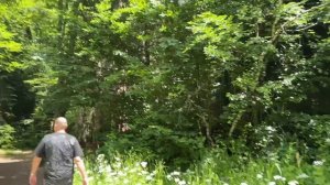 Домбай - Поляна Косыгина