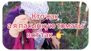 Кто как, а я пасынкую томаты вот так