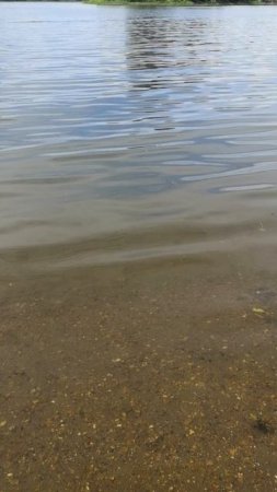 VID_20250707_104418.mp4
