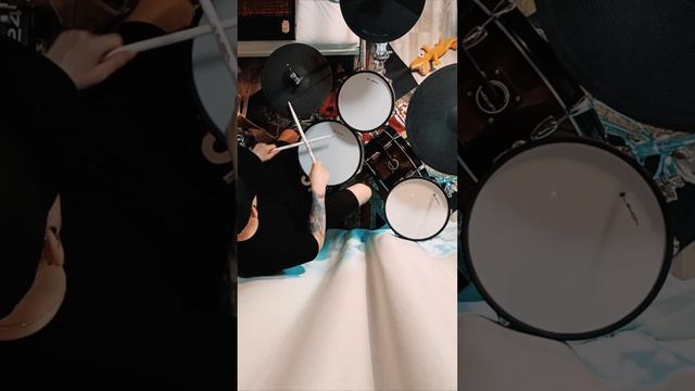 Bloodhound gang-Foxtrot uniform charlie kilo |DRUMCOVER|🥁
#bloodhoundgang #rock #punk #cover #drums