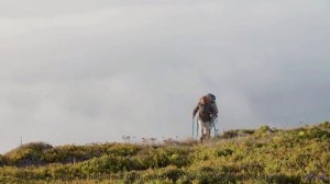 Ты почувствуешь, как мир становится добрее после просмотра! - uRLauB -- Phillip Gross -- HoLiDaYS