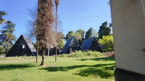 Абхазия Гагра Цитрусовый Бугенвиллия грин Закат 7 июля 2025 г.