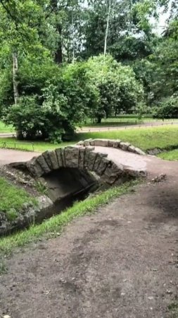🌳 🌿Александровский парк