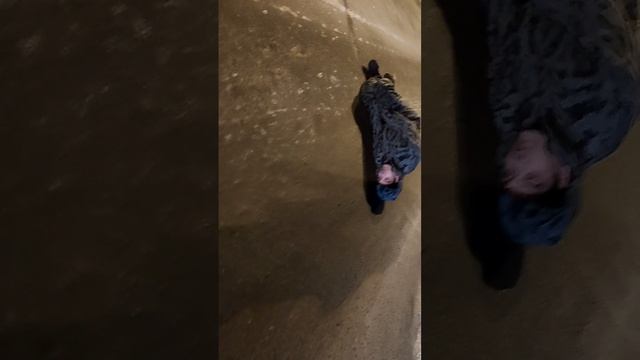 Погостище из друзей.