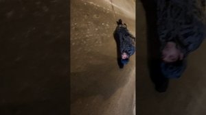 Погостище из друзей.