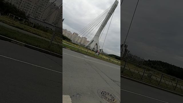 Восстанавливаю гомеостаз