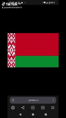 Свободная Россия,Украина,Беларусь