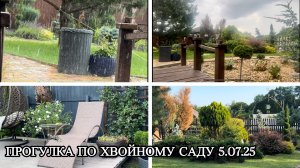 Прогулка по саду 5.07.2025