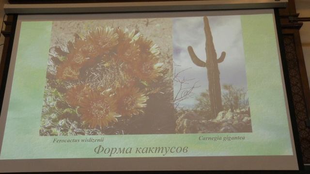 Зернов А. С. - Высшие растения - 14. Вегетативное размножение. Жизненные формы