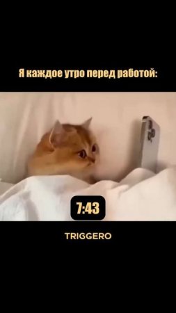 Ха-ха-ха