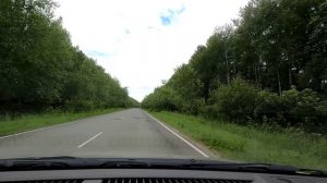Борщевик вдоль дороги Новая автодорога рассыпается  Автодорога Козловка Октябрьское Новочебоксарск