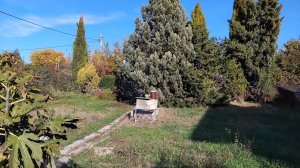 Видео, участок, Зеленстрой