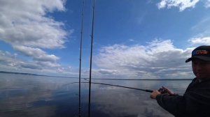 С Паноптиксом/PANOPTIX каждый поймает!