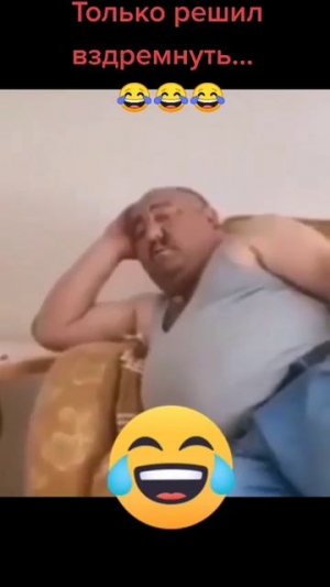 Животные приколы и не только