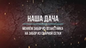 Забор из сварной сетки взамен старого штакетника