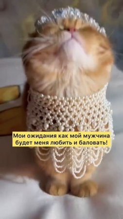 Мои ожидания