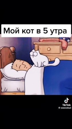 Мой кот именно так себя ведёт 😂.mp4
А у Вас?🤔