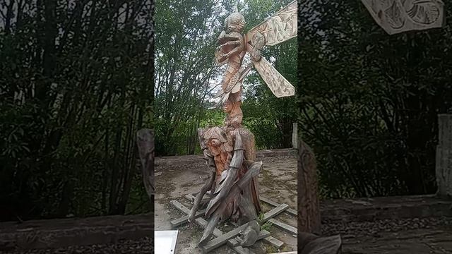 1000027166.mp4