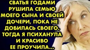 Сватья годами рушила семью моего сына и своей дочери, пока не добилась своего. Тогда я психанула...