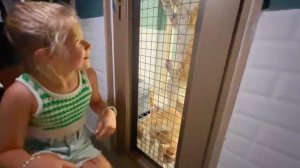 Диана и Рома ( Diana Roma ) - Диана и Рома - Семейная поездка на море