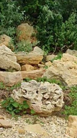 Камни на побережье Азовского моря