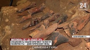 В Крыму палеонтологи обнаружили фрагменты костей древних животных