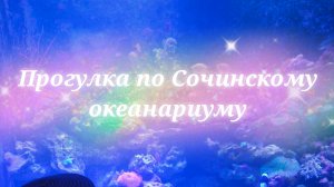 Сочинский океанариум Sochi Discovery World Aquarium. Прогулка по океанариуму, гуляем, наслаждаемся
