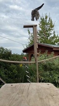 Прекрасного дня