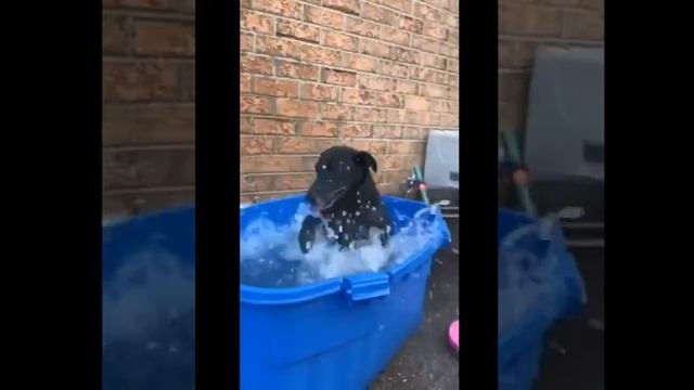 В такую жару только так во Владивостоке