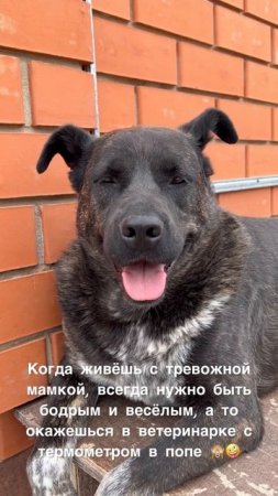 Граф❤️