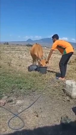 Бывшая затянула обратно в отношения