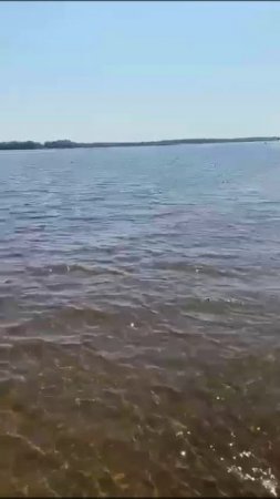 У нас свой берег золотой...